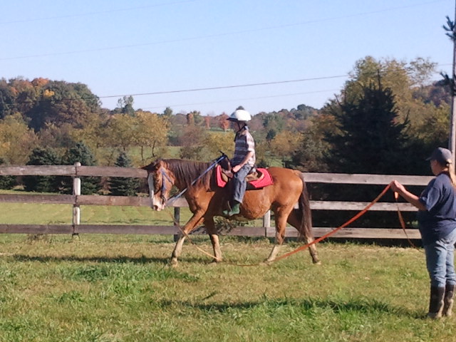 Pony Rides